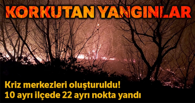 Trabzon ve Giresunda orman yangınları