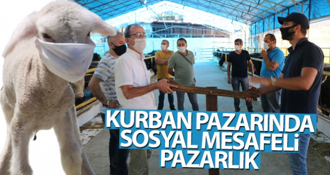 Kurban pazarında sosyal mesafeli pazarlık