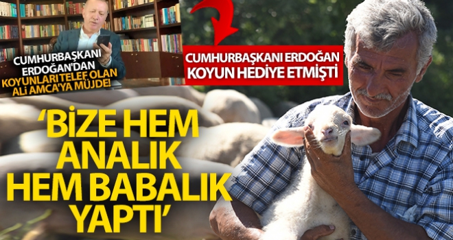 Koyunları telef olan Çelikel çiftinden Cumhurbaşkanına teşekkür