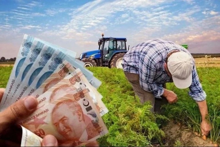 Çiftçilere 865 milyon TLlik destek ödemesi hesaplarda