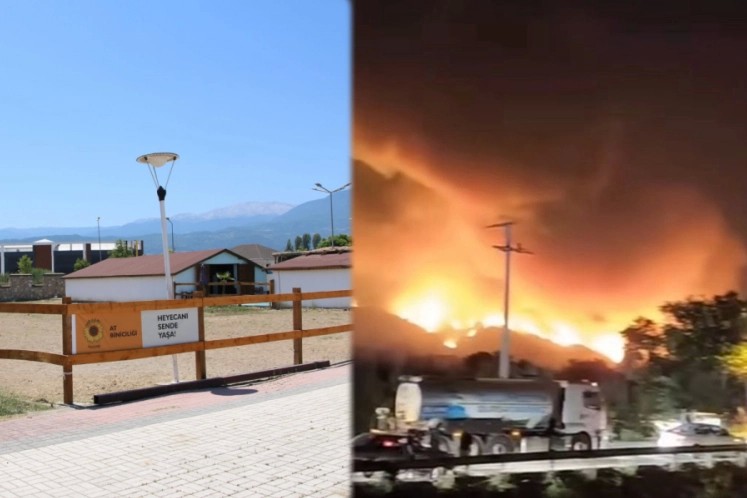 Bursada yangından etkilenen hayvanlara el açtılar