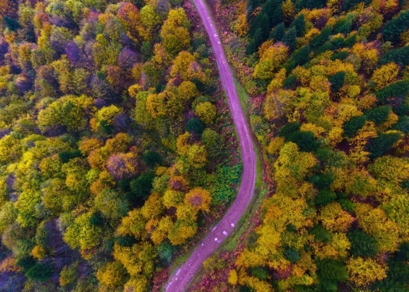 Ordu'da sonbaharda renk cümbüşü
