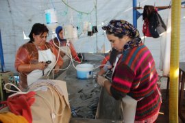 Bu da balık hastanesi, bu kadınların ne yaptığını duyunca çok şaşıracaksınız