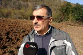 Hızla yayıldı, çözüm bulunamadı! Herkes bahçesini yakmaya başladı