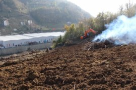 Hızla yayıldı, çözüm bulunamadı! Herkes bahçesini yakmaya başladı