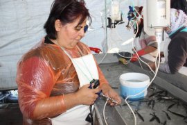 Bu da balık hastanesi, bu kadınların ne yaptığını duyunca çok şaşıracaksınız