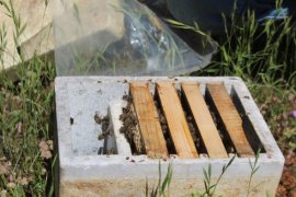 Okul harçlığı için başladığı arcılık gelir kapısı oldu