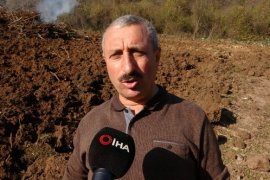 Hızla yayıldı, çözüm bulunamadı! Herkes bahçesini yakmaya başladı