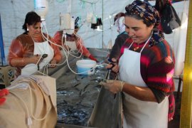 Bu da balık hastanesi, bu kadınların ne yaptığını duyunca çok şaşıracaksınız