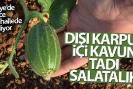 Dışı karpuz, içi kavun, tadı salatalık gibi