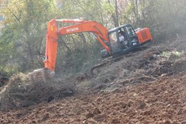 Hızla yayıldı, çözüm bulunamadı! Herkes bahçesini yakmaya başladı