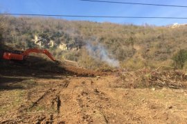 Hızla yayıldı, çözüm bulunamadı! Herkes bahçesini yakmaya başladı