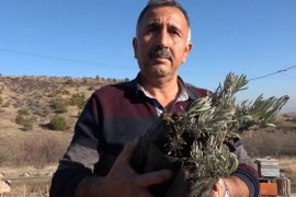 Yeni gelir kapısı oldu: kilosu 150 lira!