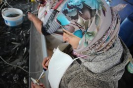 Bu da balık hastanesi, bu kadınların ne yaptığını duyunca çok şaşıracaksınız