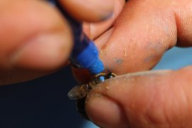 Okul harçlığı için başladığı arcılık gelir kapısı oldu