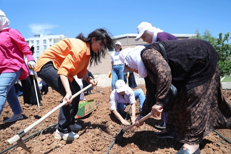 Kent Kadın Bostanları projesi Mardin Artuklu’da hayata geçti