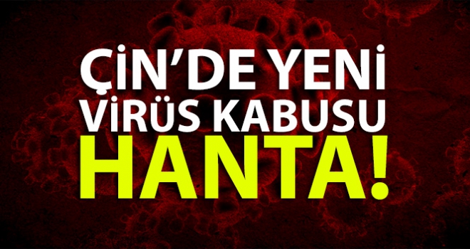 Çin'de yeni virüs kabusu: Hanta |Hanta virüsü nedir?