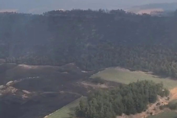 Bolu ve Bilecik’te yangınlar kontrol altında! Sakarya ve Manisa'dan sevindirici haberler bekleniyor