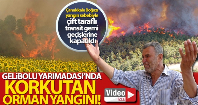 Gelibolu Yarımadası'nda orman yangını!