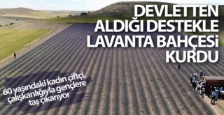Devletten aldığı destekle lavanta bahçesi kurdu, ekonomisine can kattı