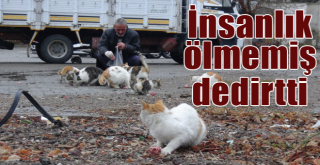 Hayvanlara olan şefkatiyle “İnsanlık ölmedi’ dedirtti